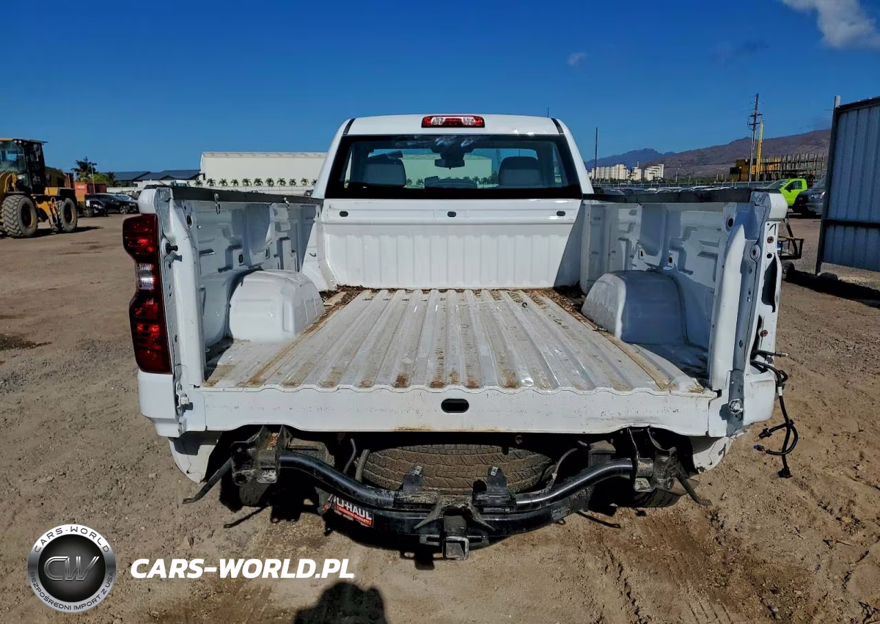 2024 Chevrolet Silverado C1500 VIN:3GCNAAED1RG417334 - 6