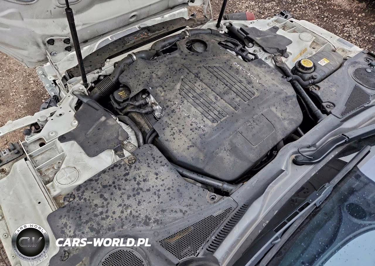 2017 Jaguar F-Type S VIN:SAJWJ6FV4H8K41653 - 11