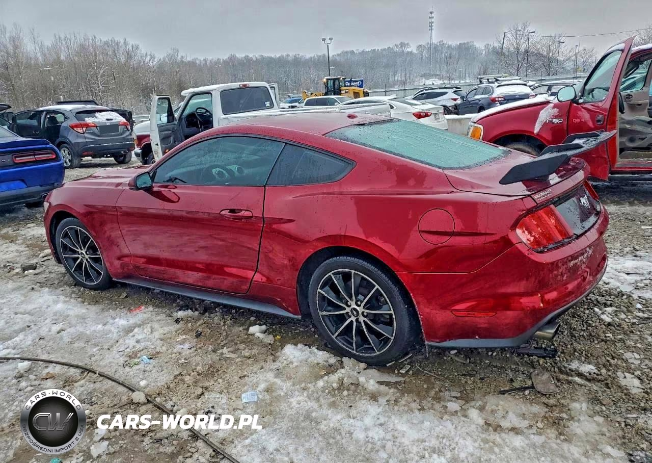 2017 Ford Mustang VIN:1FA6P8TH8H5239287 - 2