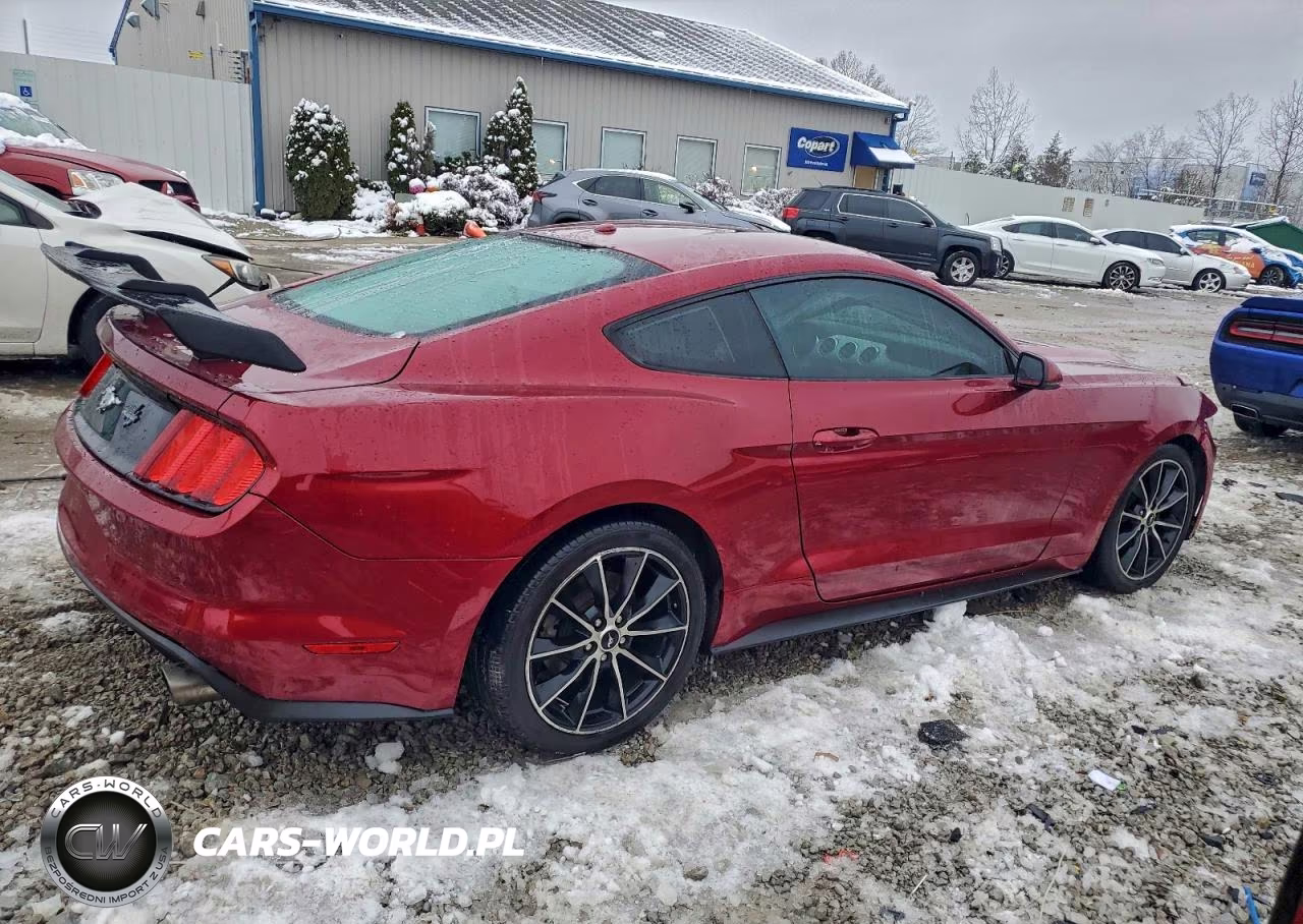 2017 Ford Mustang VIN:1FA6P8TH8H5239287 - 3