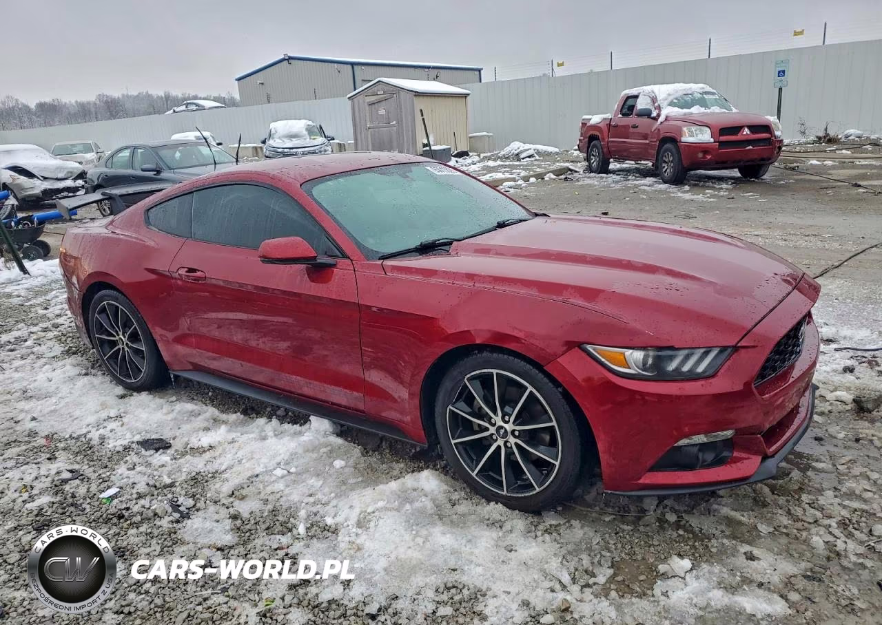 2017 Ford Mustang VIN:1FA6P8TH8H5239287 - 4