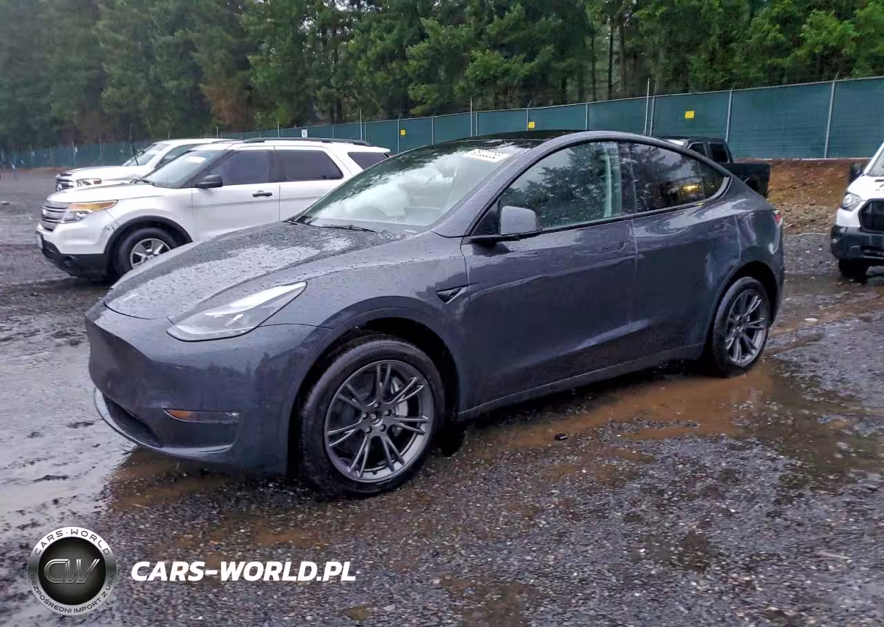 2025 Tesla Model Y