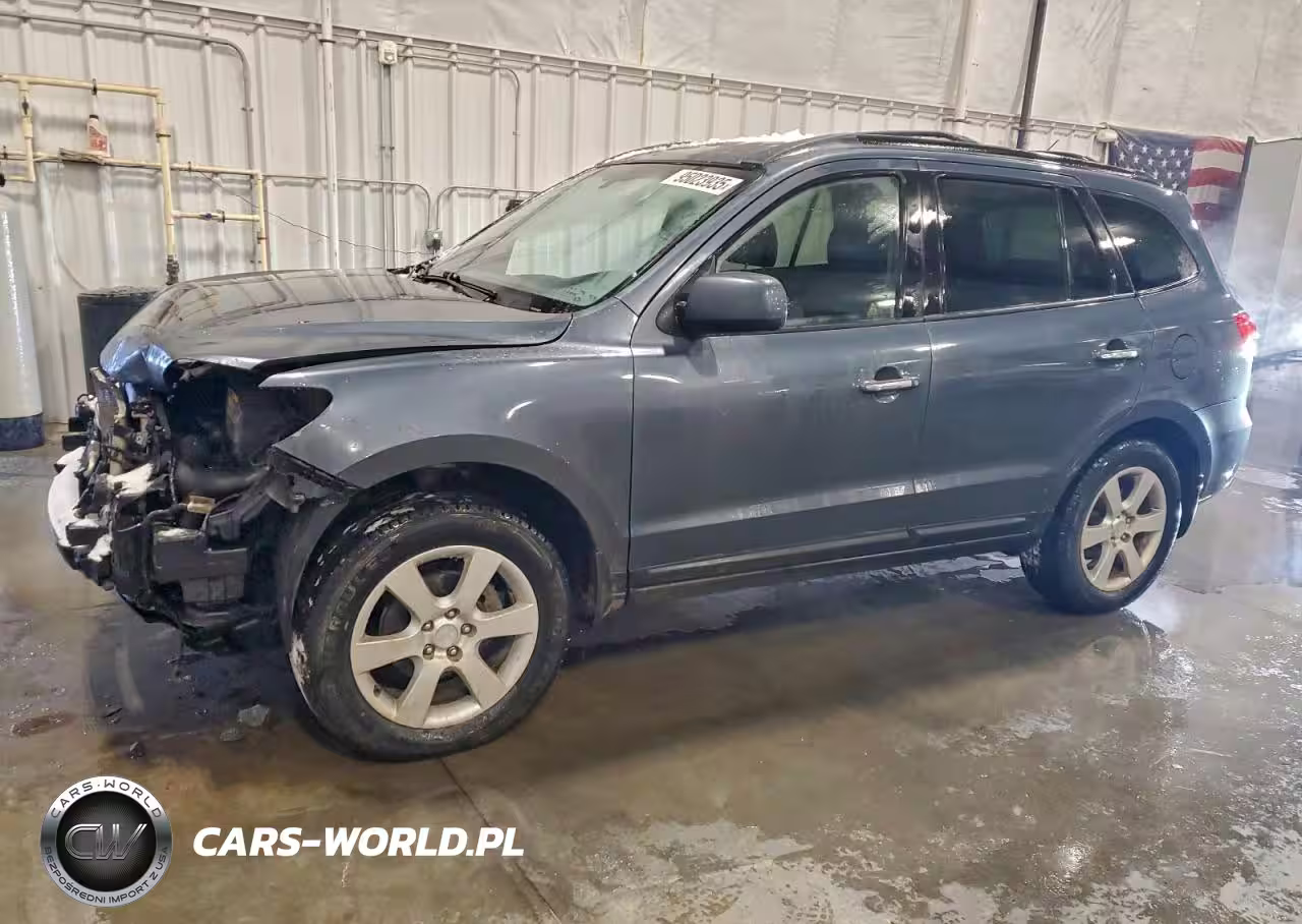 2009 Hyundai Santa Fe Se
