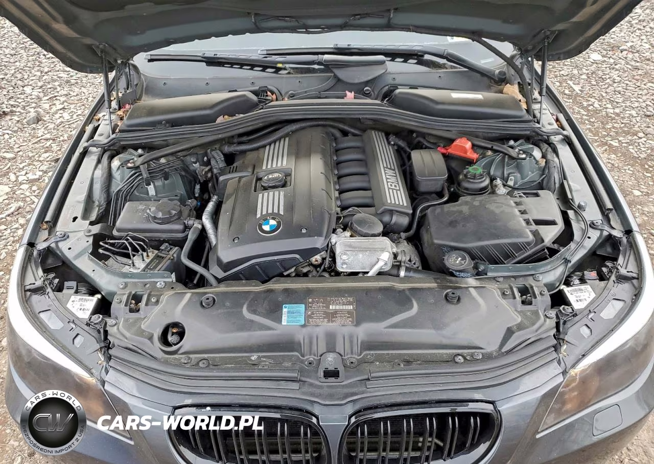 2010 BMW 528 Xi VIN:WBANV1C56AC159106 - 11