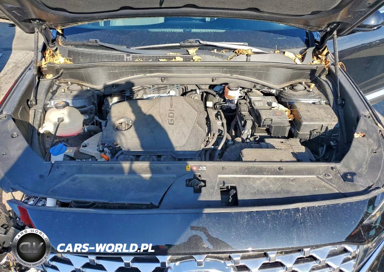 2021 Hyundai Santa Fe Sel VIN:5NMS2DAJ9MH319677 - 12