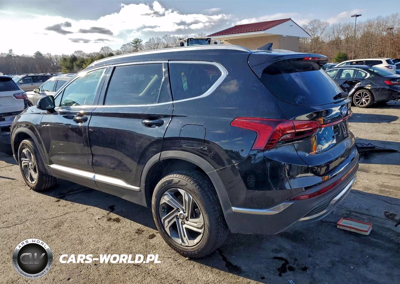 2021 Hyundai Santa Fe Sel VIN:5NMS2DAJ9MH319677 - 2