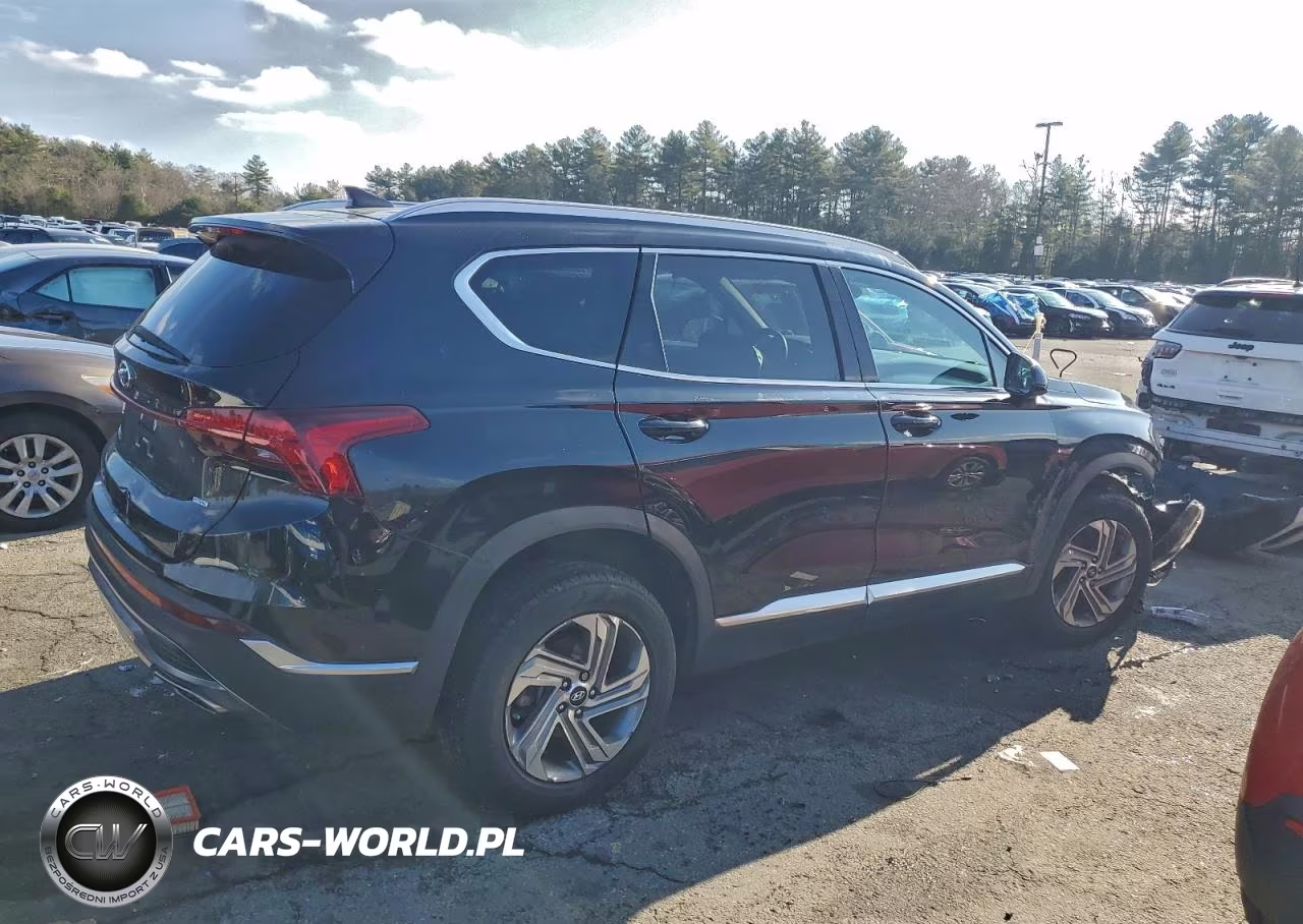 2021 Hyundai Santa Fe Sel VIN:5NMS2DAJ9MH319677 - 3