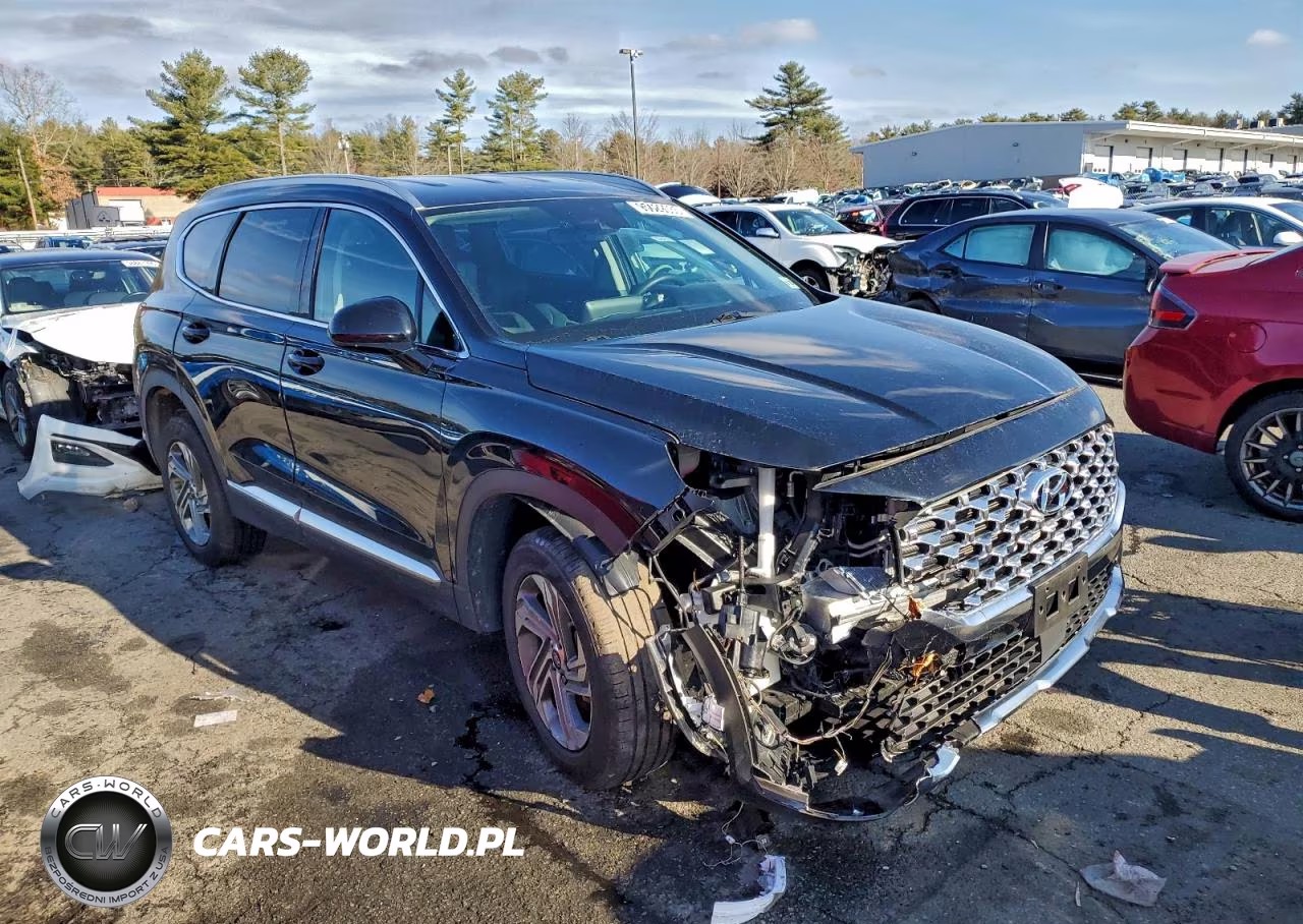 2021 Hyundai Santa Fe Sel VIN:5NMS2DAJ9MH319677 - 4