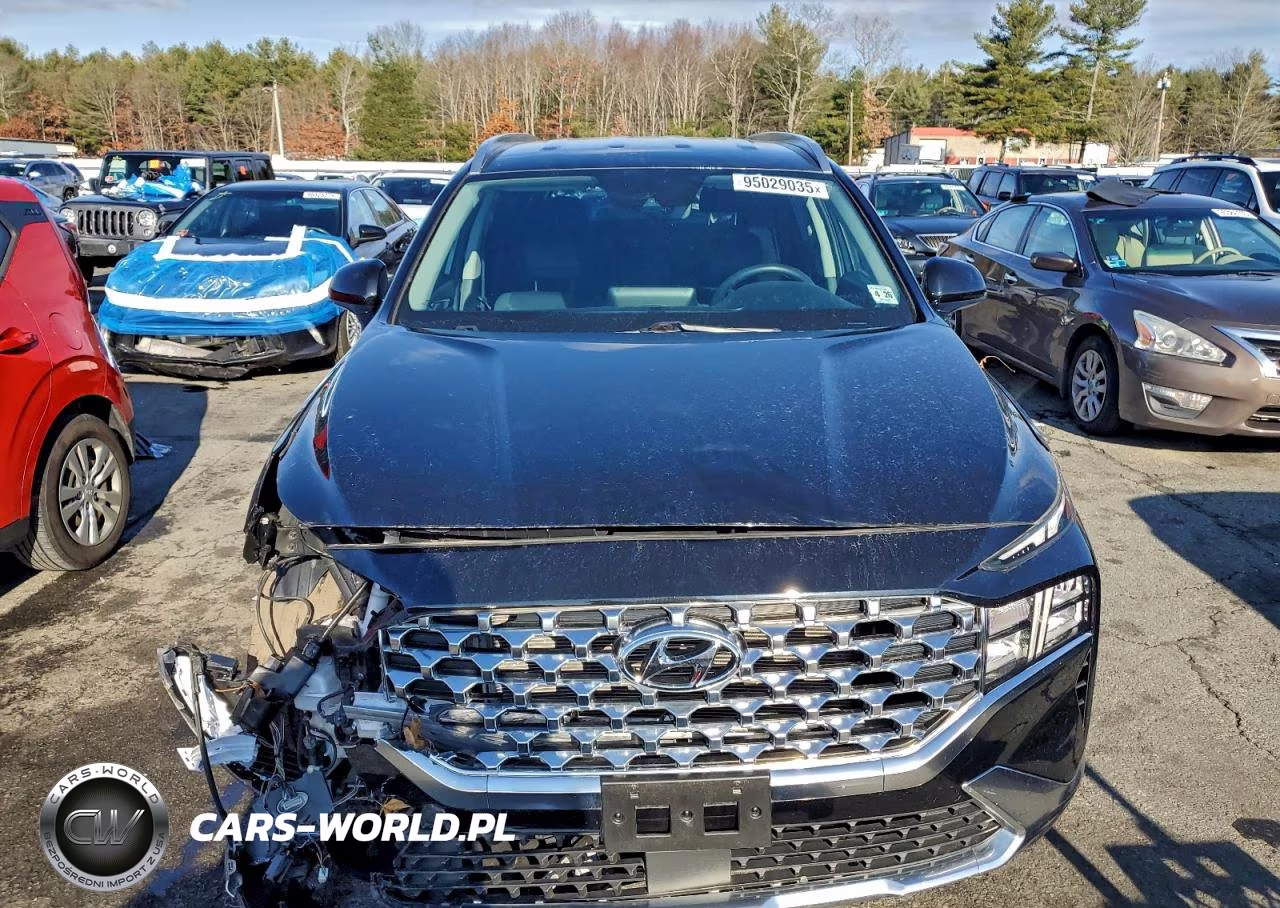 2021 Hyundai Santa Fe Sel VIN:5NMS2DAJ9MH319677 - 5