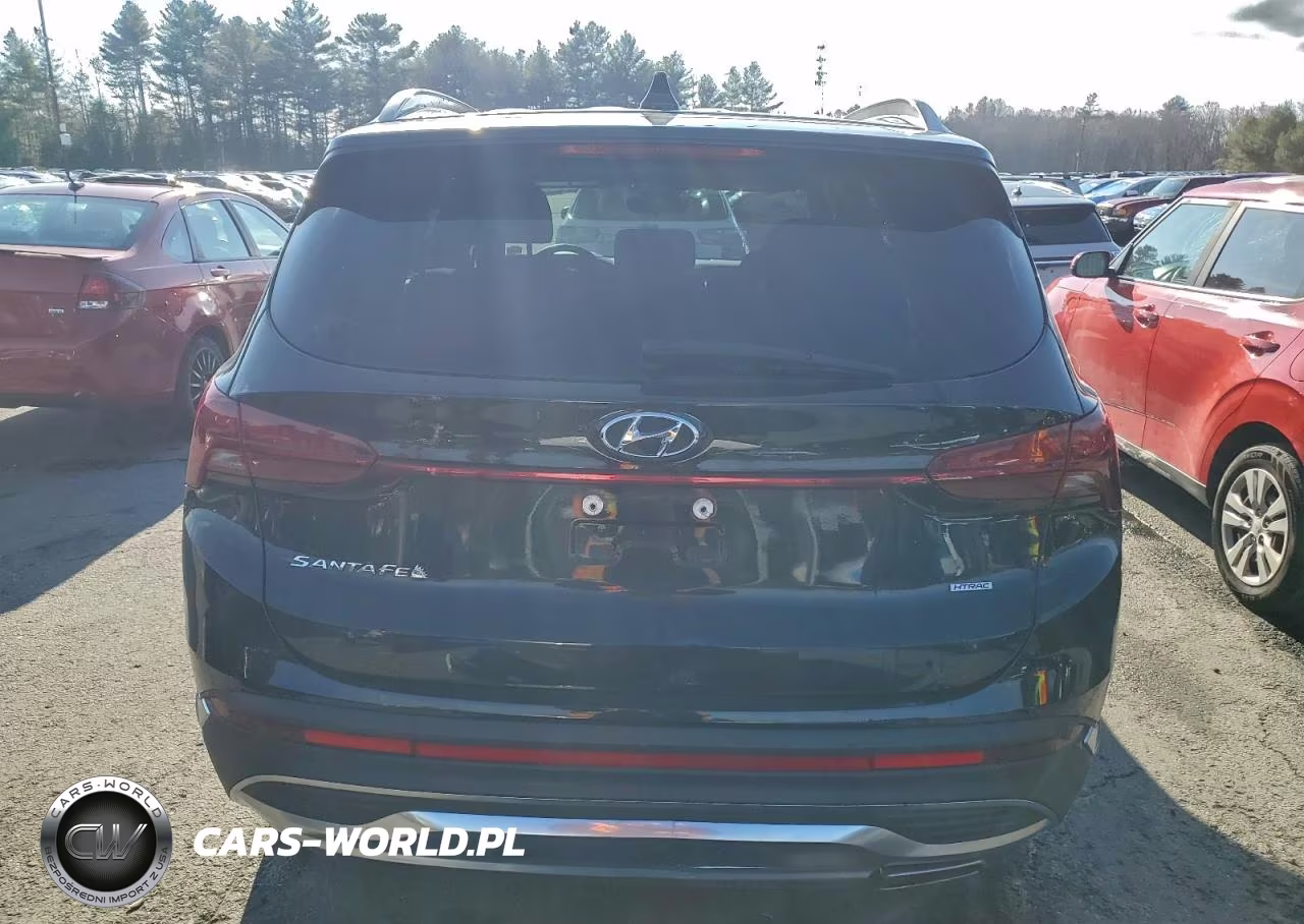 2021 Hyundai Santa Fe Sel VIN:5NMS2DAJ9MH319677 - 6