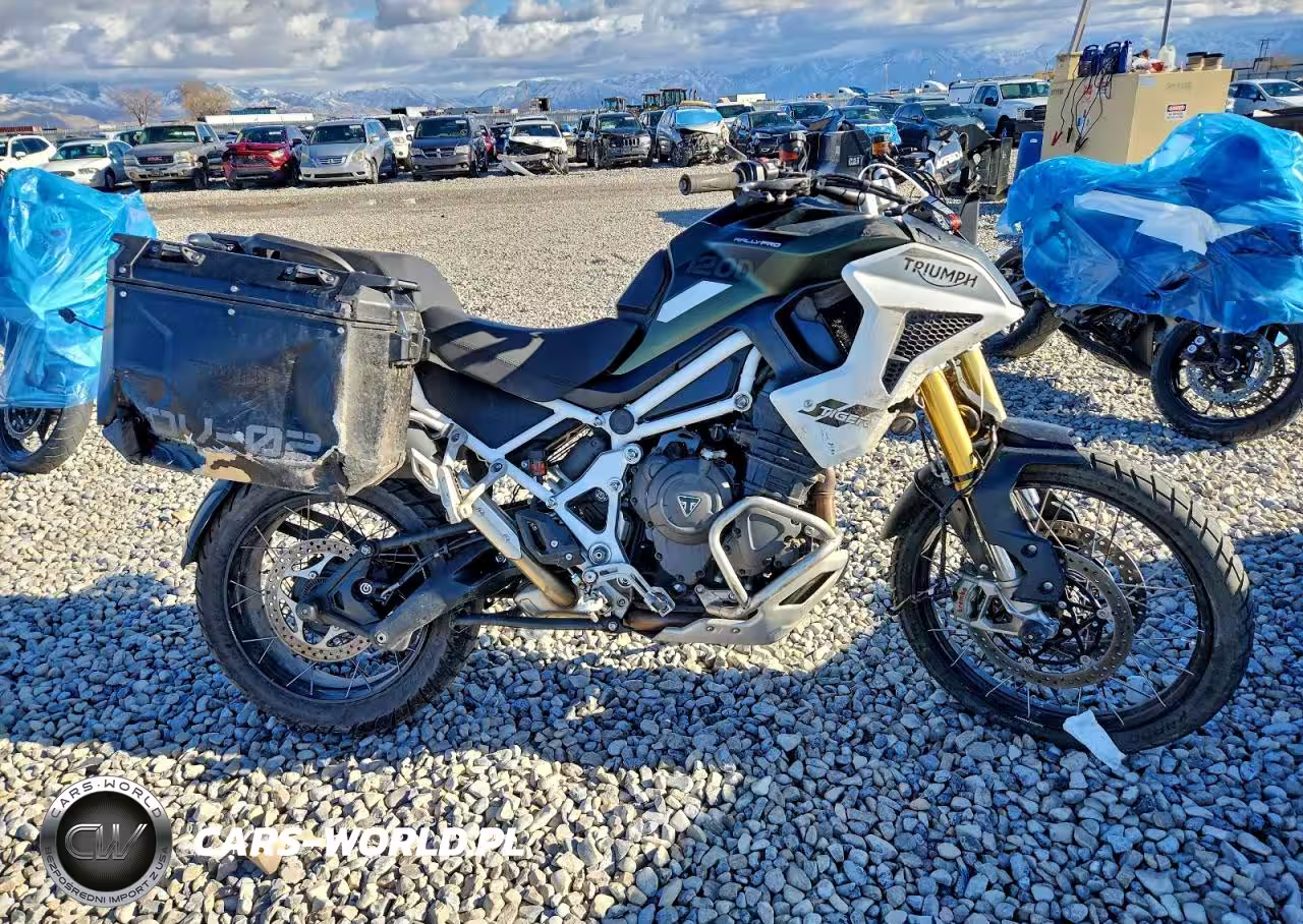 2023 Triumph Motorcycle Tiger 1200 Rally Pro