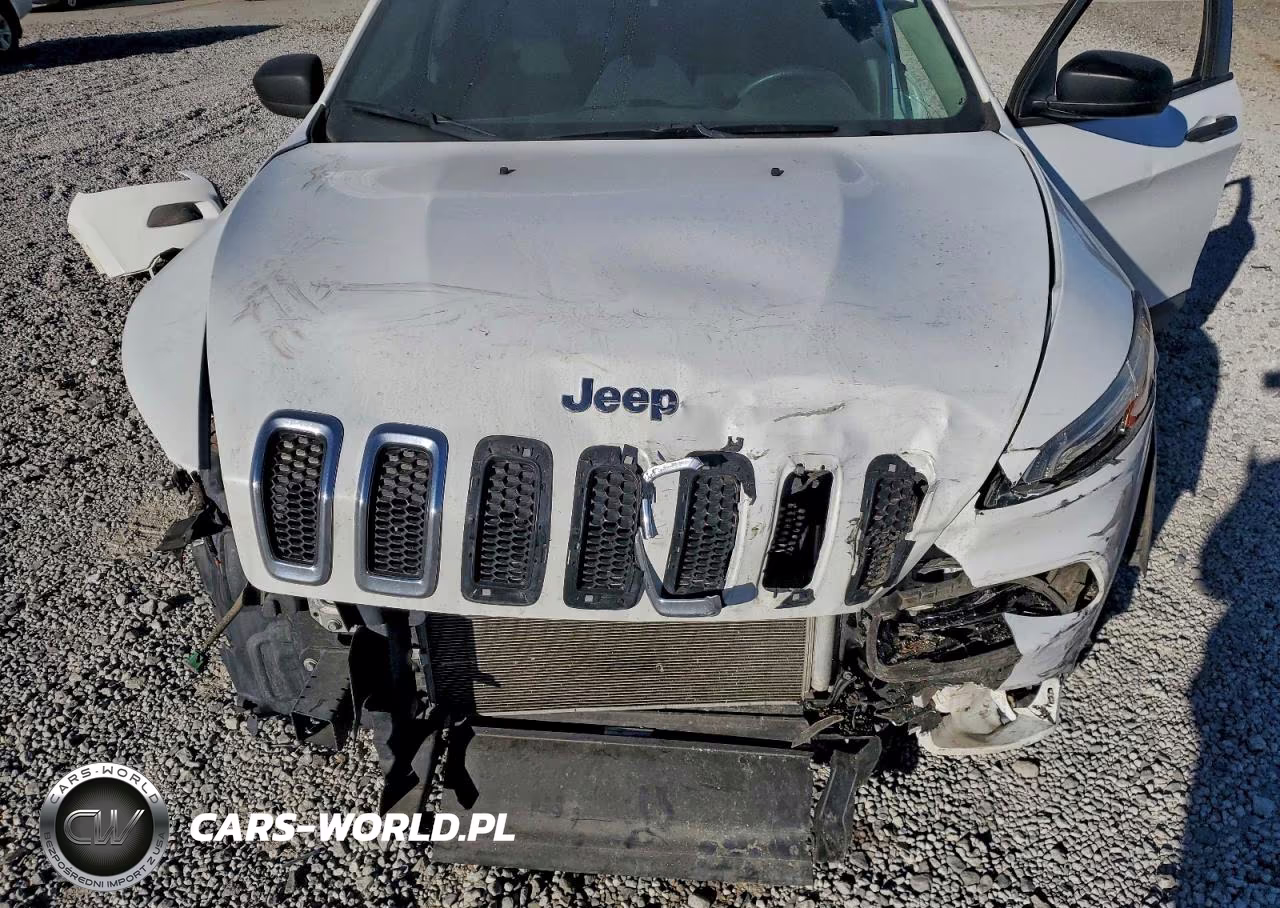 2017 Jeep Cherokee Sport VIN:1C4PJMABXHW569840 - 11