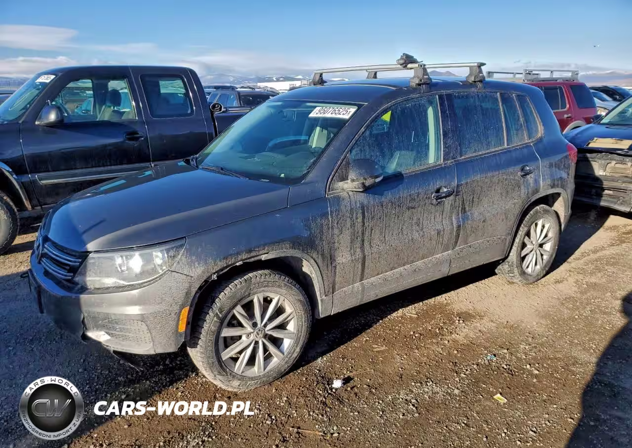 2014 Volkswagen Tiguan S