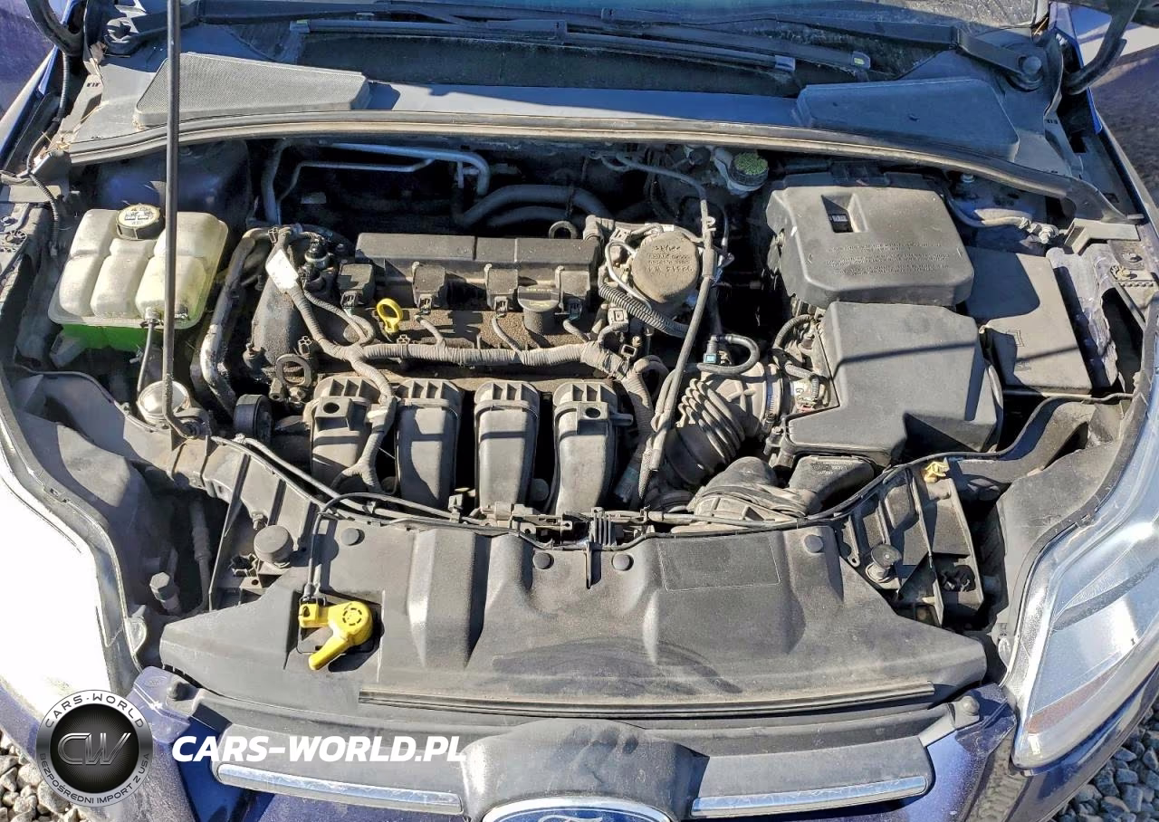 2012 Ford Focus Se VIN:1FAHP3F20CL163376 - 11