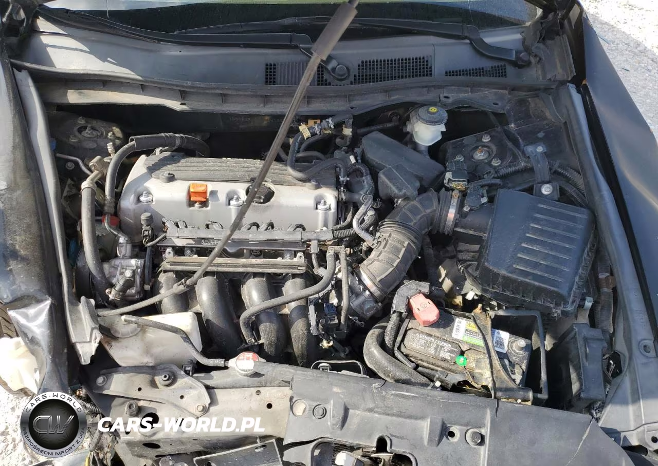 2010 Honda Accord Lxp VIN:1HGCP2F41AA064138 - 11