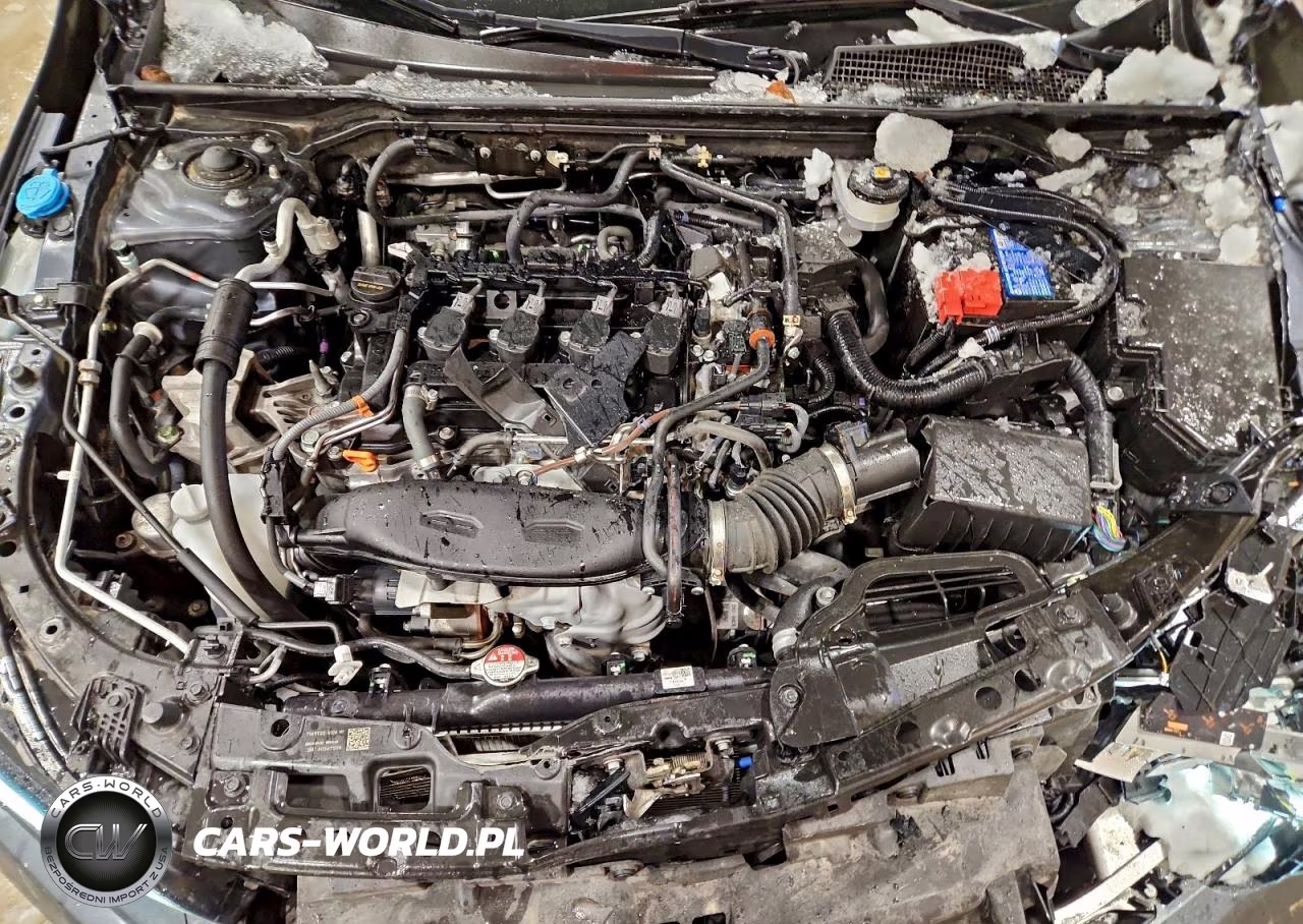 2024 Honda Civic Ex VIN:2HGFE1F73RH322194 - 11