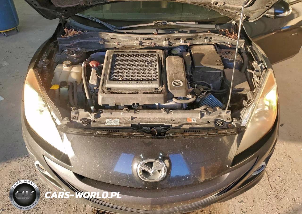 2010 Mazda Speed 3 VIN:JM1BL1H33A1187038 - 11