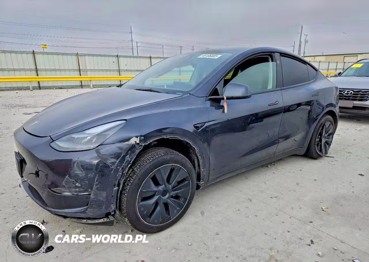 2025 Tesla Model Y