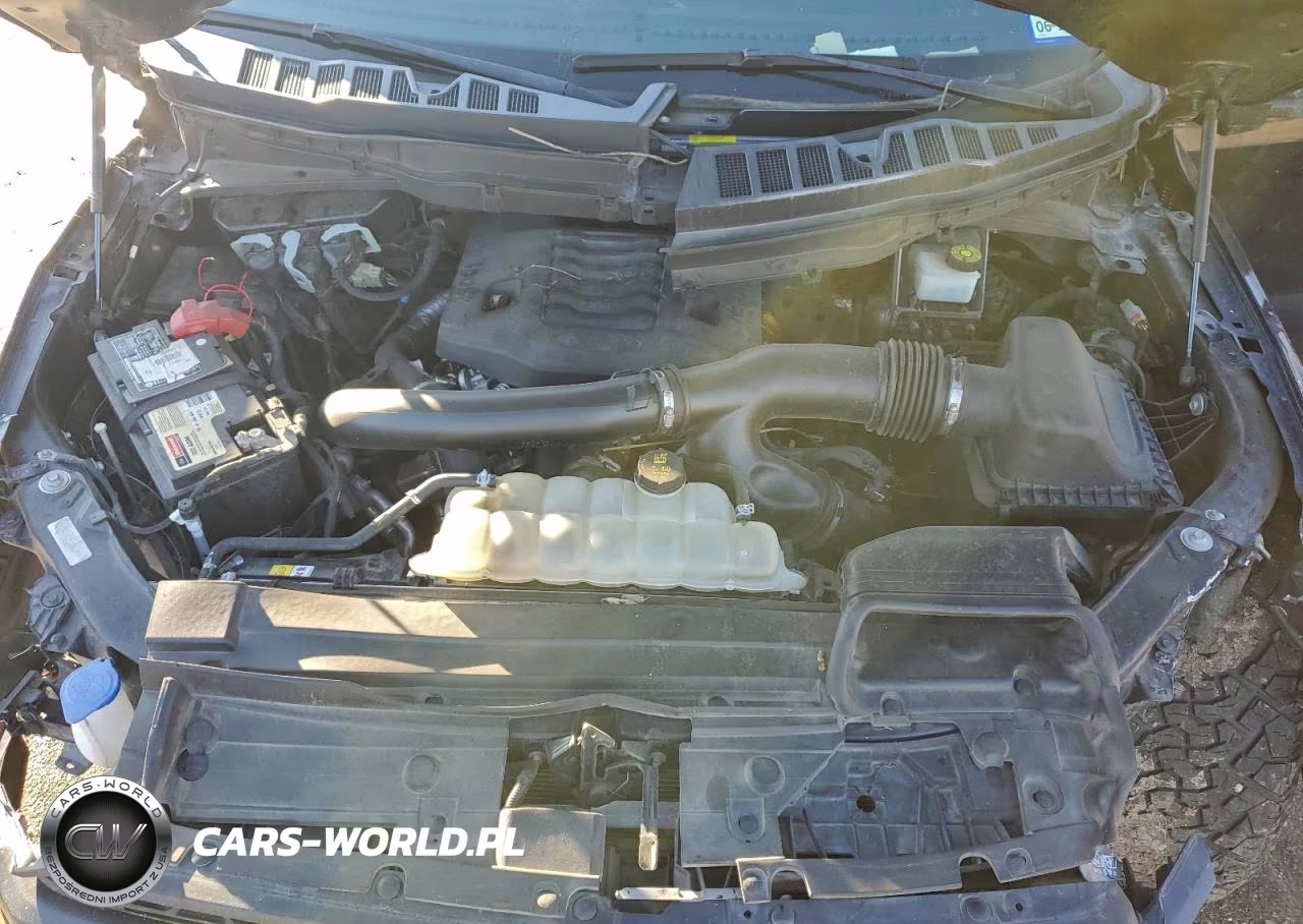 2022 Ford F150 Supercrew VIN:1FTEW1E81NFB12318 - 11