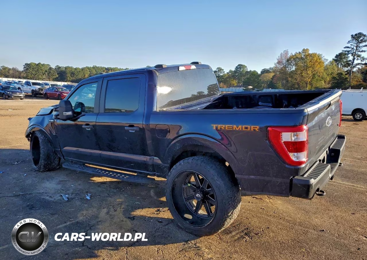 2022 Ford F150 Supercrew VIN:1FTEW1E81NFB12318 - 2