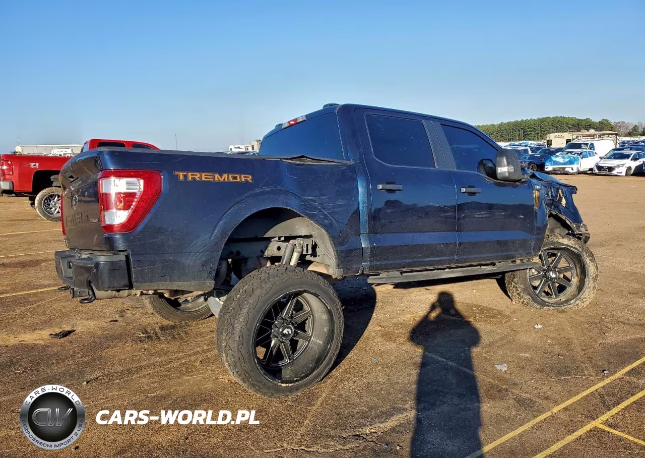 2022 Ford F150 Supercrew VIN:1FTEW1E81NFB12318 - 3