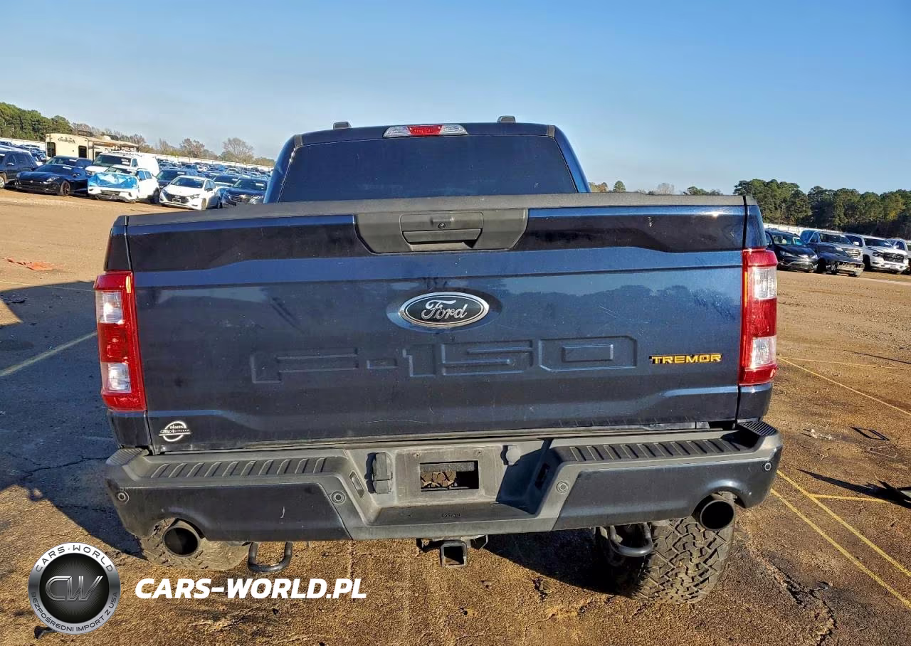 2022 Ford F150 Supercrew VIN:1FTEW1E81NFB12318 - 6