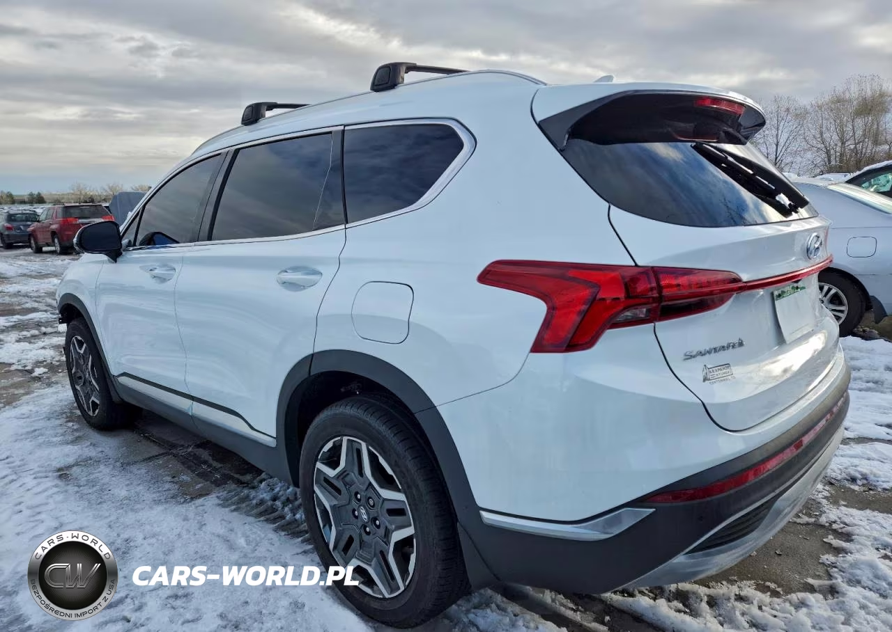 2021 Hyundai Santa Fe Limited VIN:5NMS4DAL6MH365317 - 2