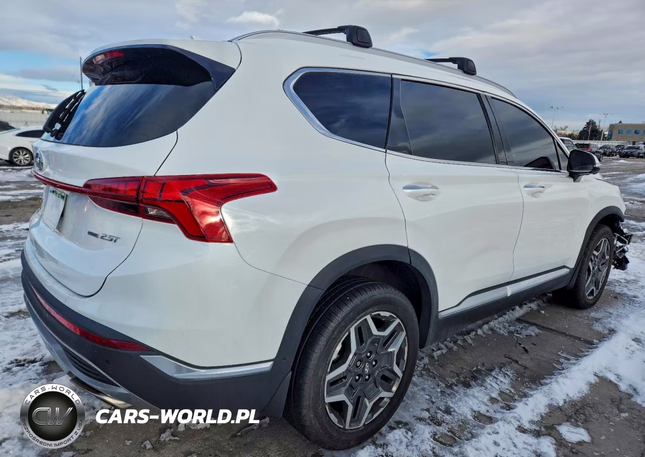 2021 Hyundai Santa Fe Limited VIN:5NMS4DAL6MH365317 - 3