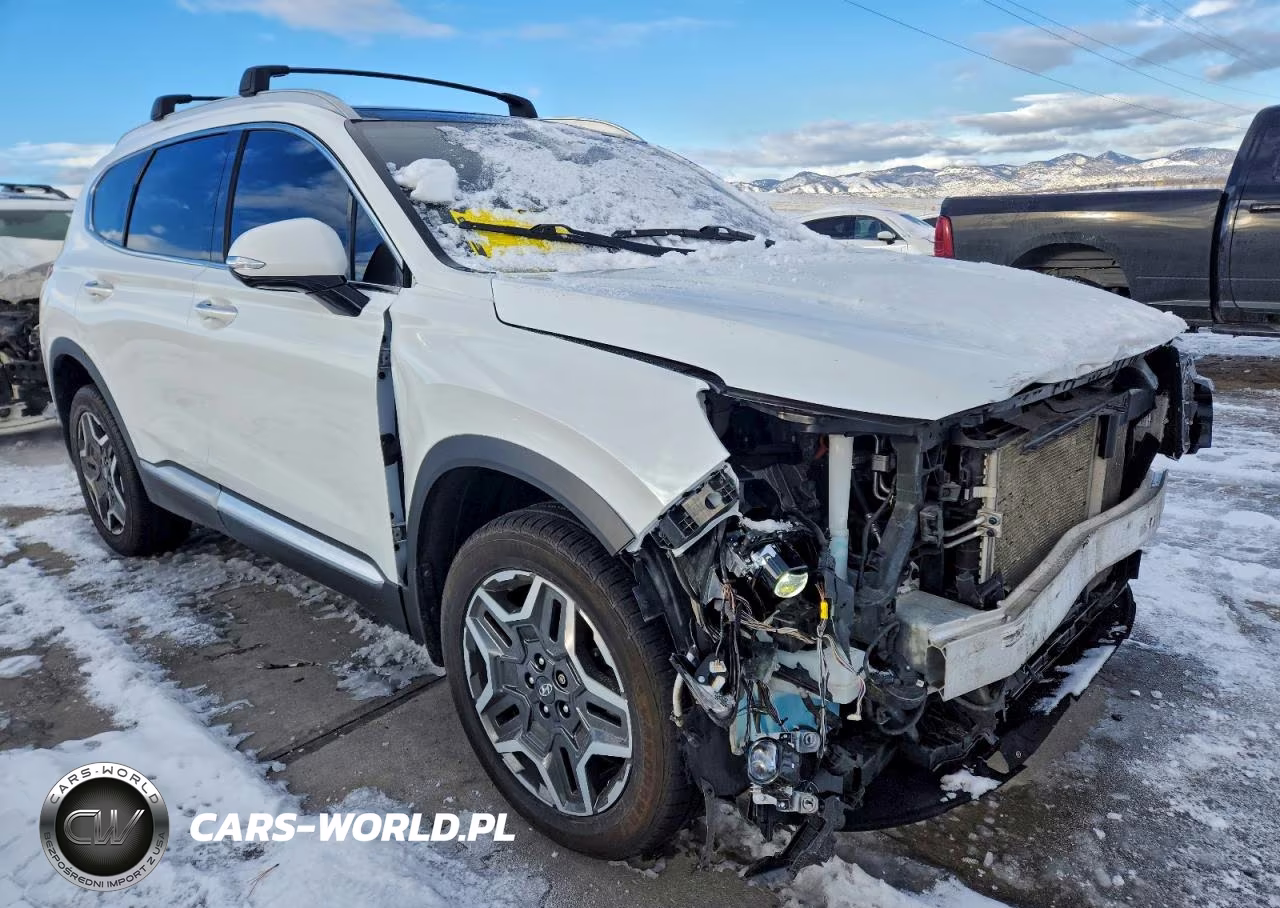 2021 Hyundai Santa Fe Limited VIN:5NMS4DAL6MH365317 - 4