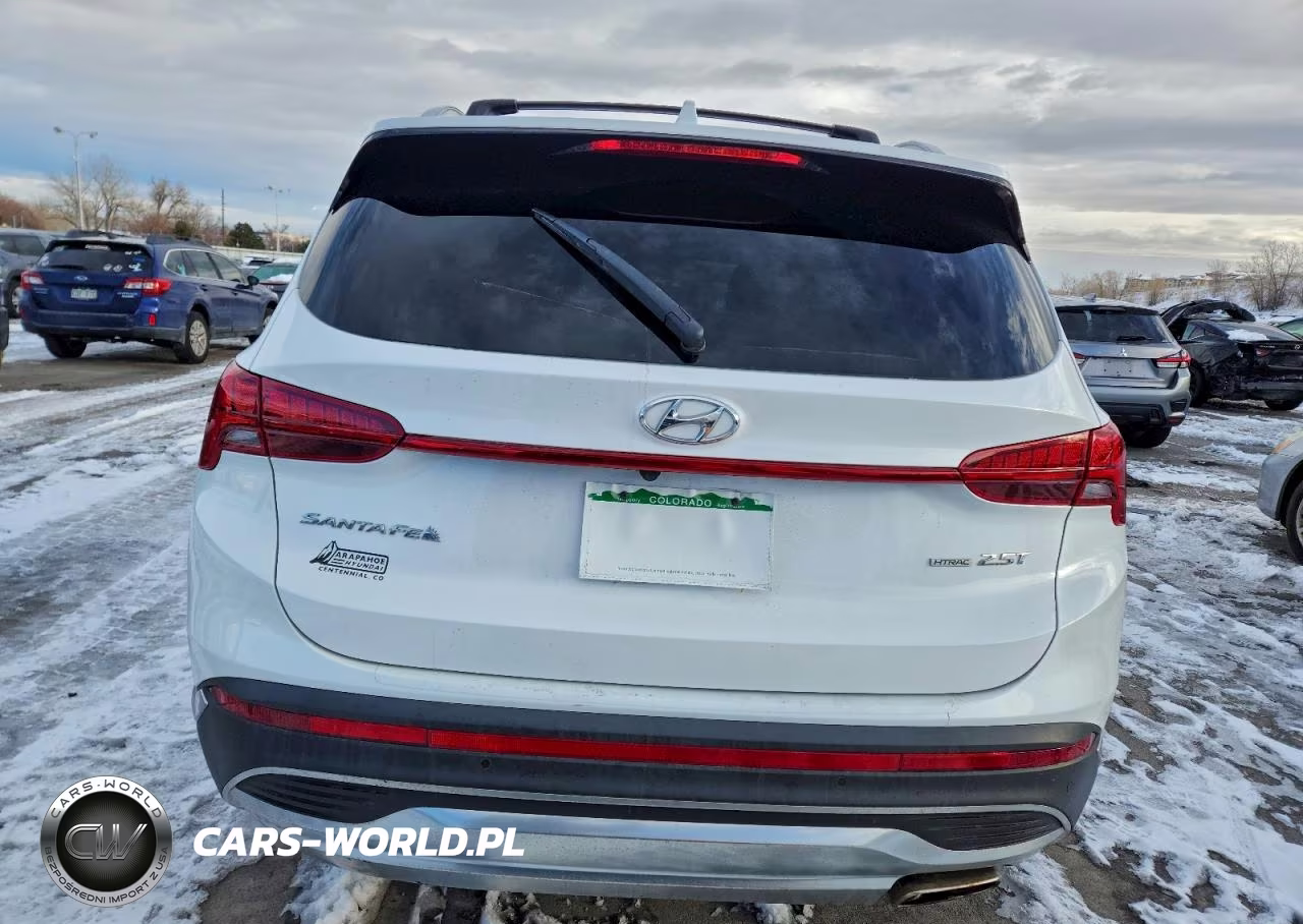 2021 Hyundai Santa Fe Limited VIN:5NMS4DAL6MH365317 - 6