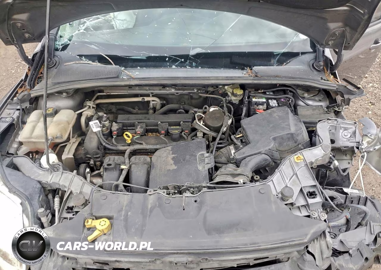 2014 Ford Focus Se VIN:1FADP3K23EL322365 - 11