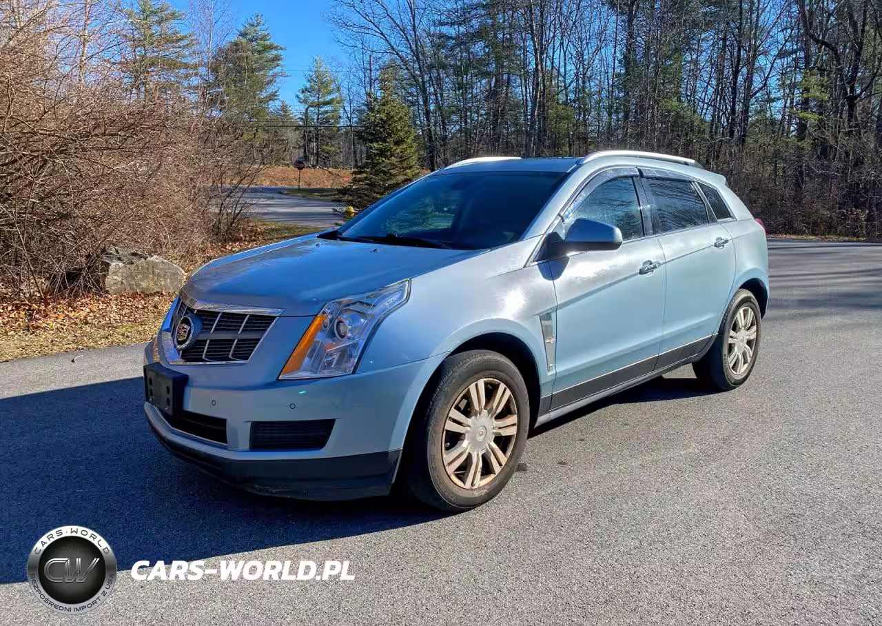 2011 Cadillac Srx Luxury Collection VIN:3GYFNDEY9BS646287 - 2