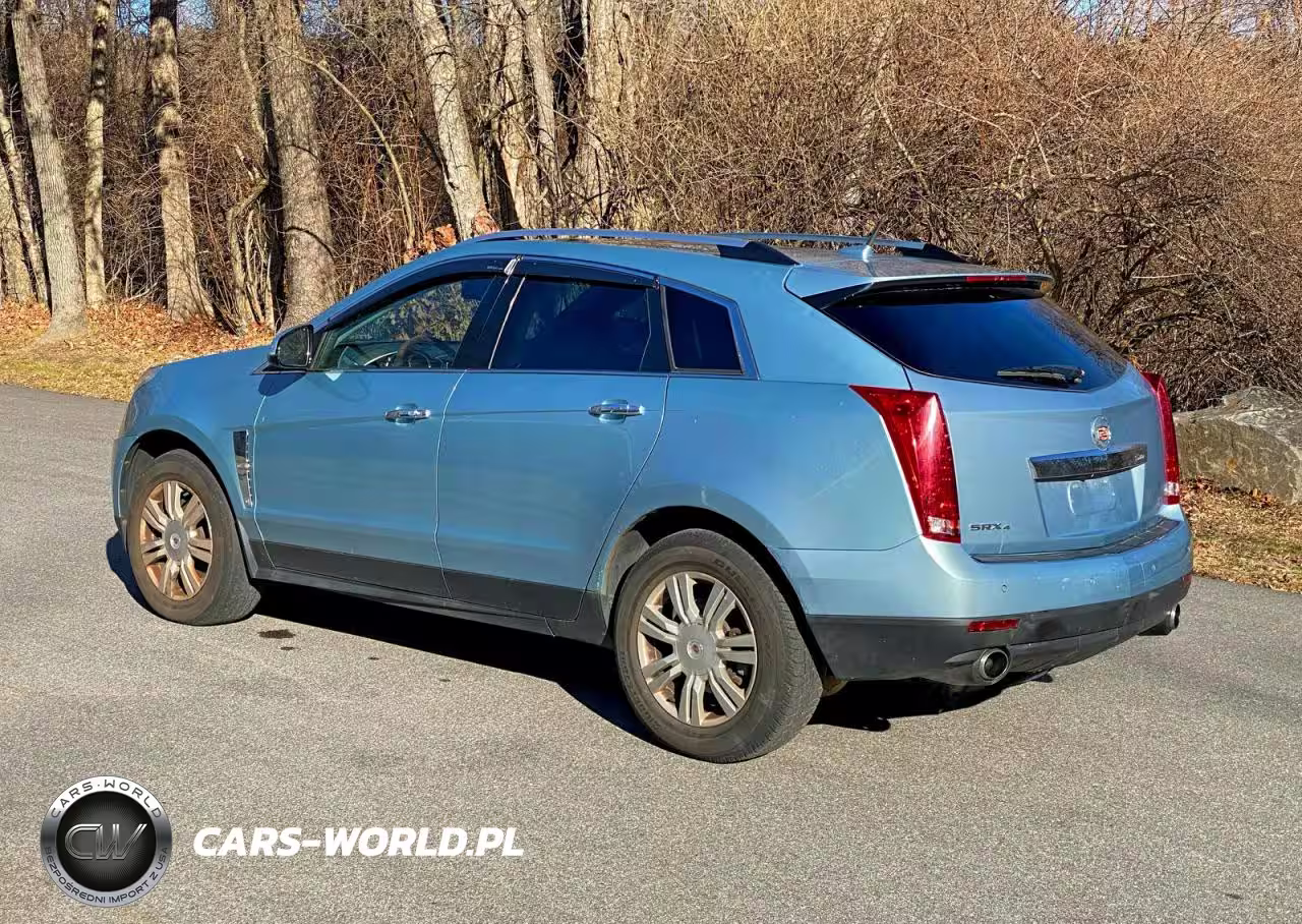 2011 Cadillac Srx Luxury Collection VIN:3GYFNDEY9BS646287 - 3