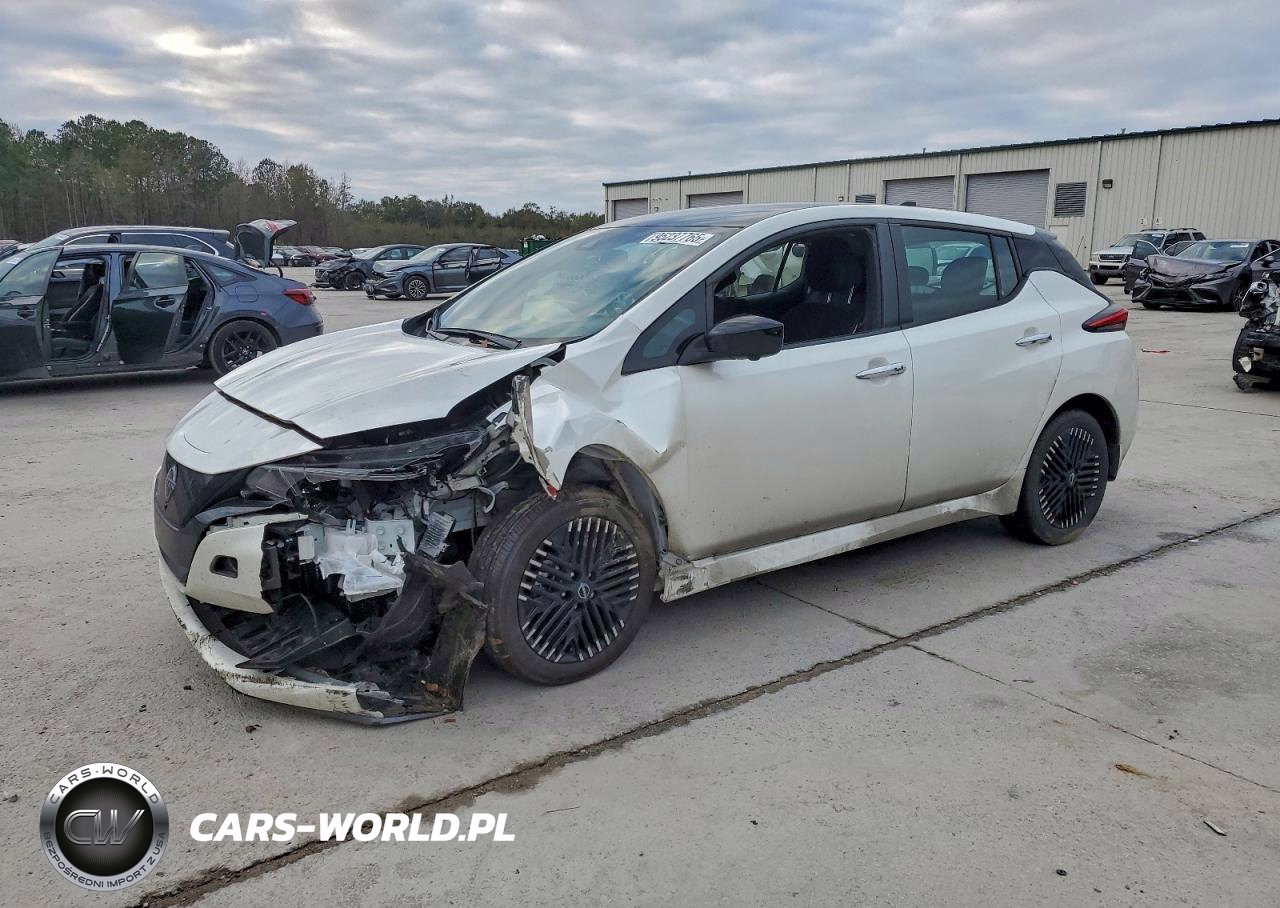 2024 Niss Leaf Sv Plus