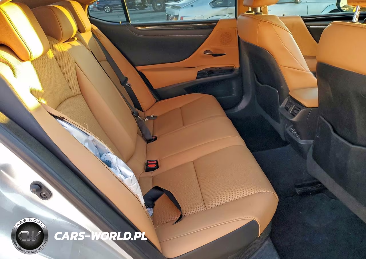 2022 Lexus Es 300H Base VIN:58ACA1C10NU025070 - 10