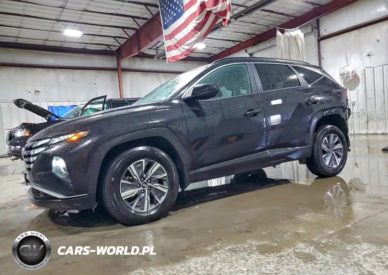 2024 Hyundai Tucson Blue