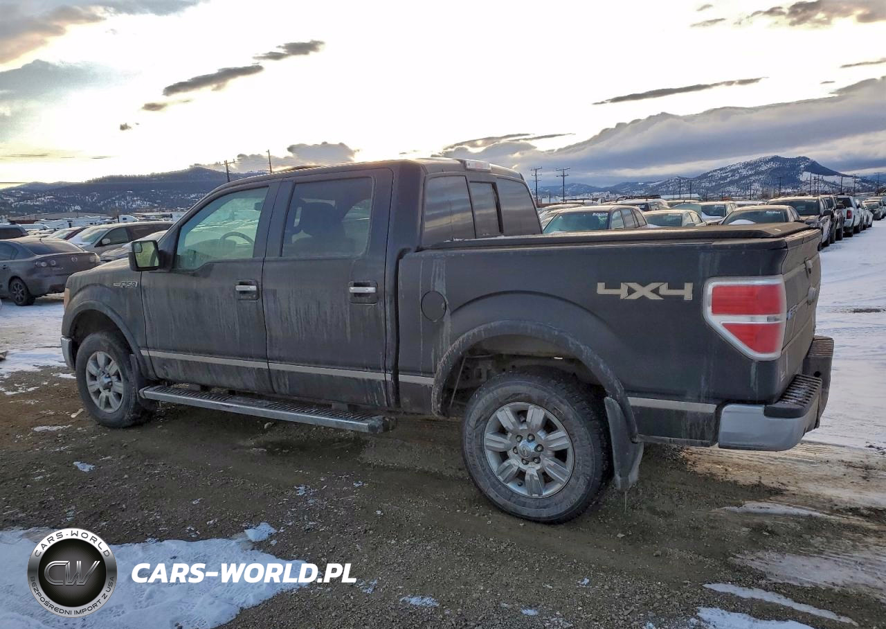 2011 Ford F150 Supercrew VIN:1FTFW1EFXBFA43384 - 2
