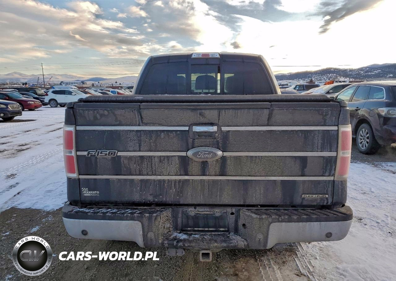 2011 Ford F150 Supercrew VIN:1FTFW1EFXBFA43384 - 6