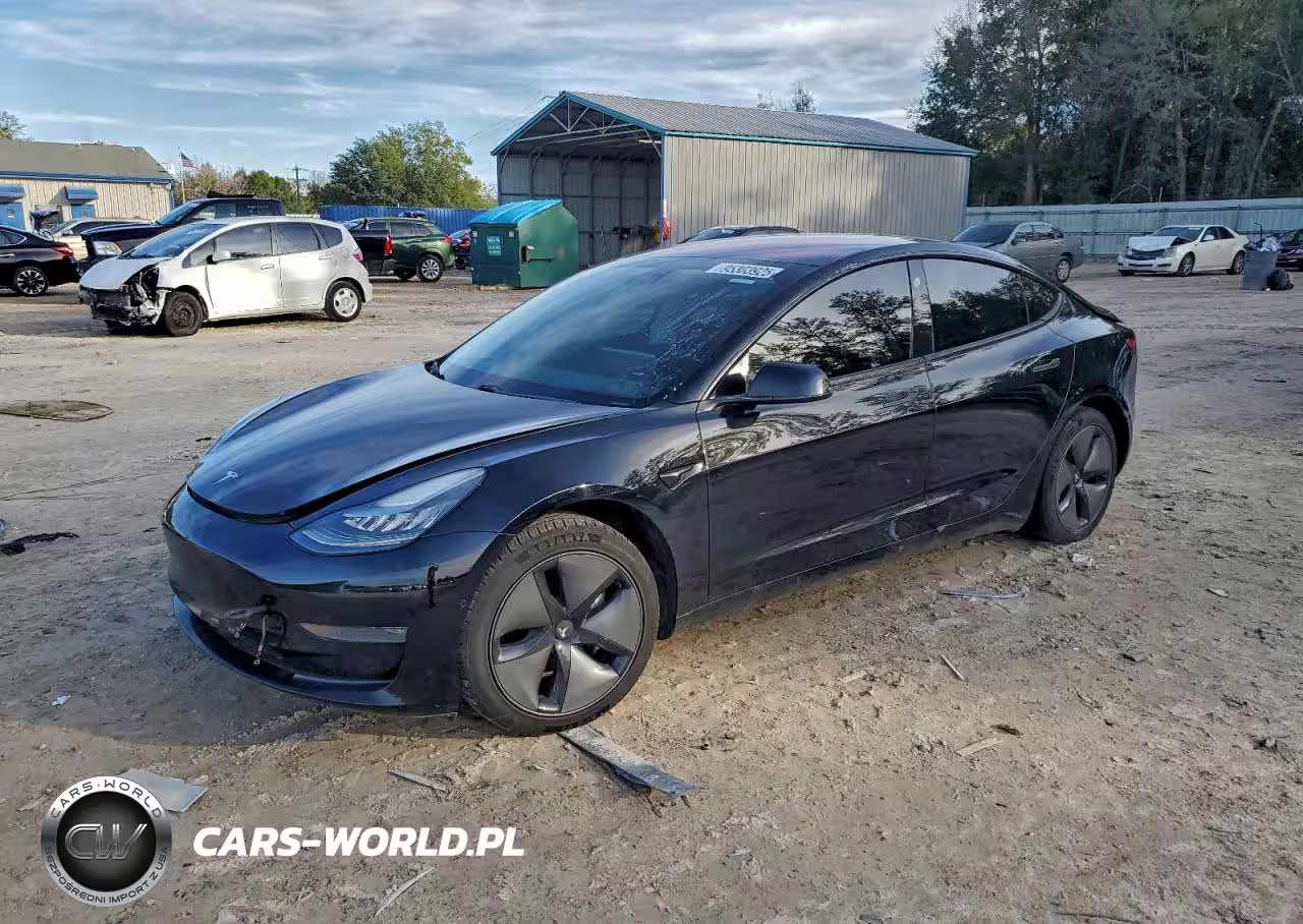2019 Tesla Model 3