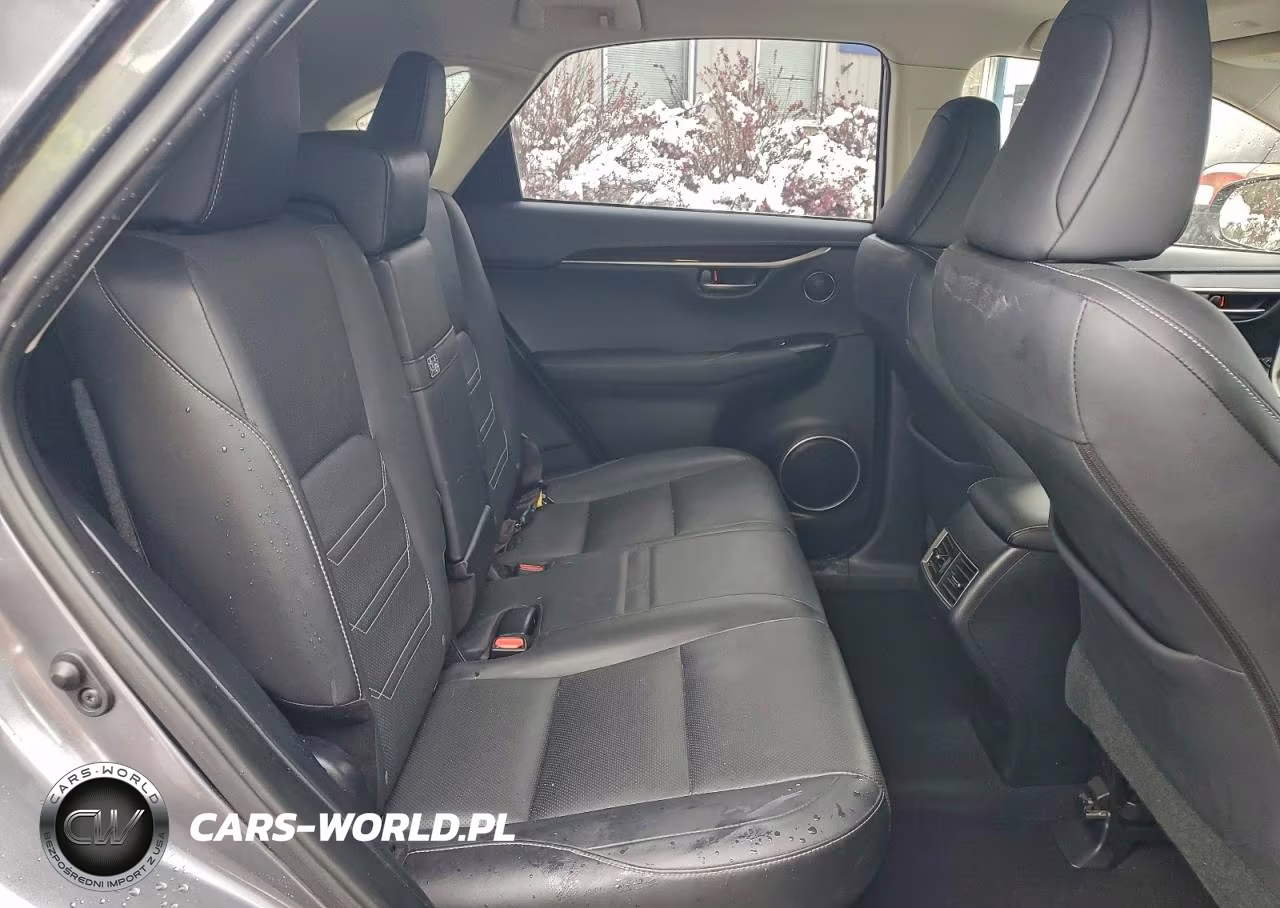 2018 Lexus Nx 300H VIN:JTJBJRBZ4J2090505 - 11