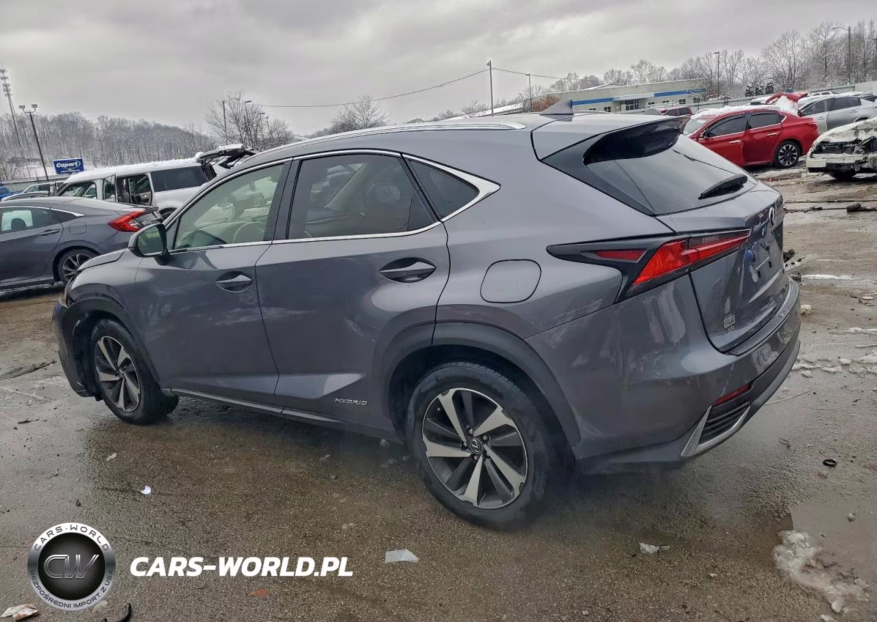 2018 Lexus Nx 300H VIN:JTJBJRBZ4J2090505 - 2