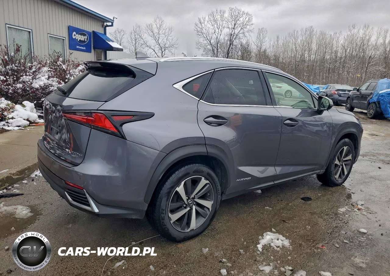 2018 Lexus Nx 300H VIN:JTJBJRBZ4J2090505 - 3