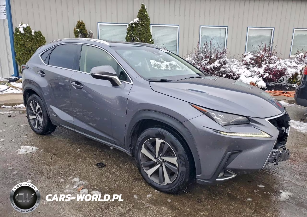 2018 Lexus Nx 300H VIN:JTJBJRBZ4J2090505 - 4
