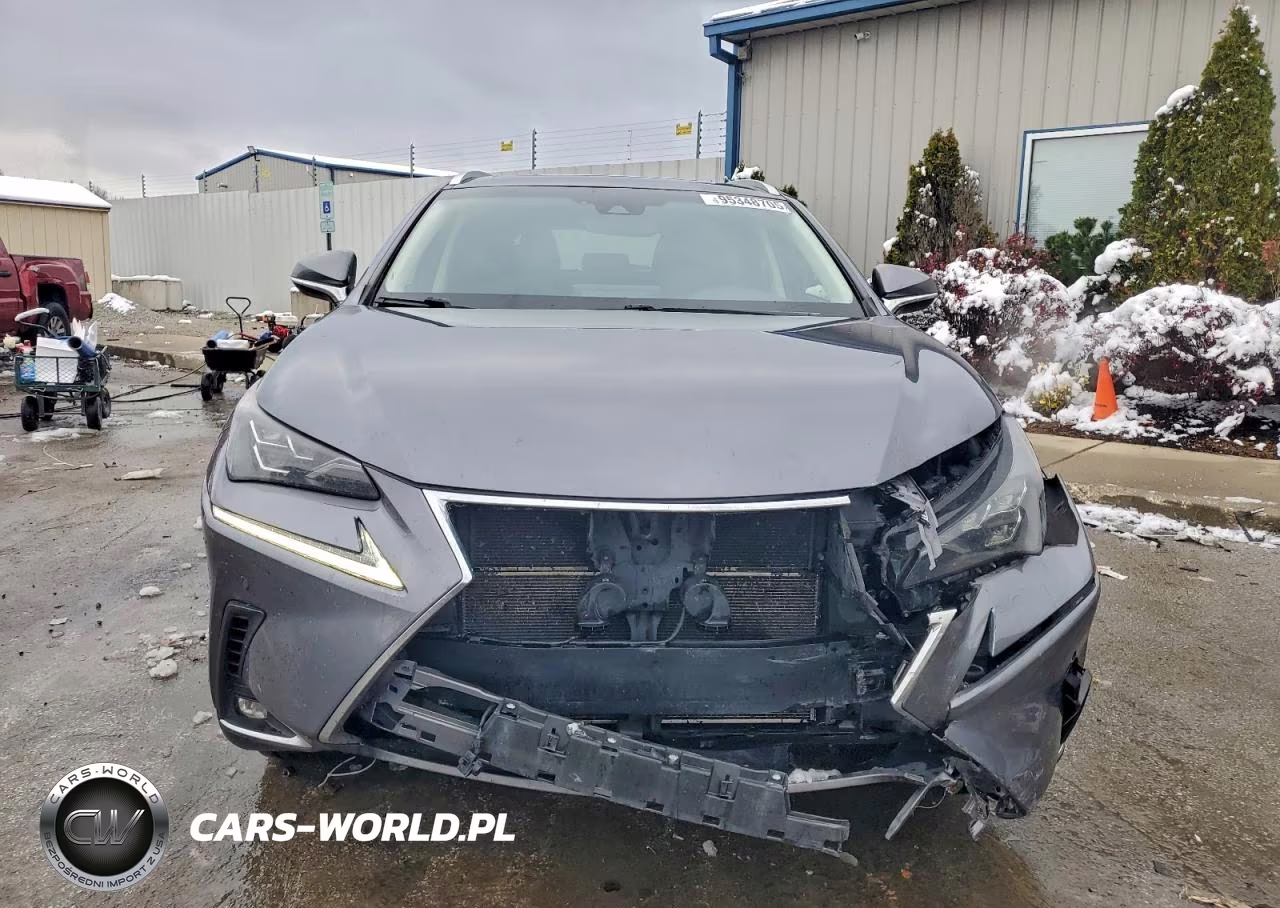 2018 Lexus Nx 300H VIN:JTJBJRBZ4J2090505 - 5