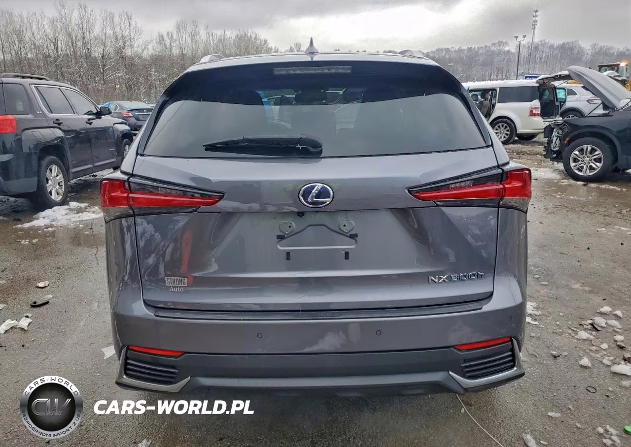 2018 Lexus Nx 300H VIN:JTJBJRBZ4J2090505 - 6
