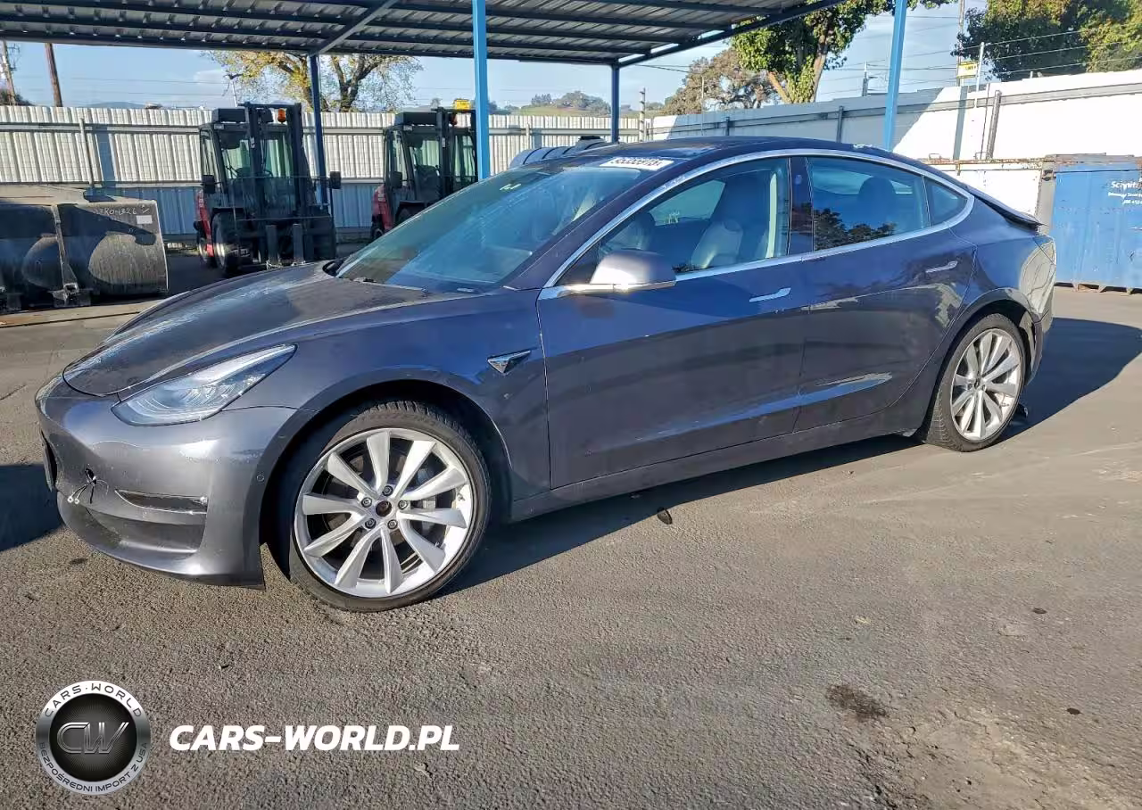2019 Tesla Model 3