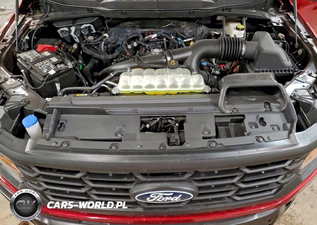 2025 Ford F150 Stx VIN:1FTEW2LP6SFB94283 - 11