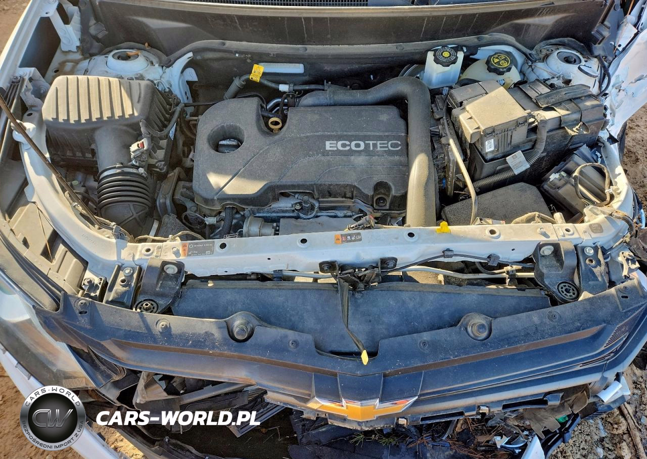 2019 Chevrolet Equinox Ls VIN:3GNAXHEV7KS576075 - 12