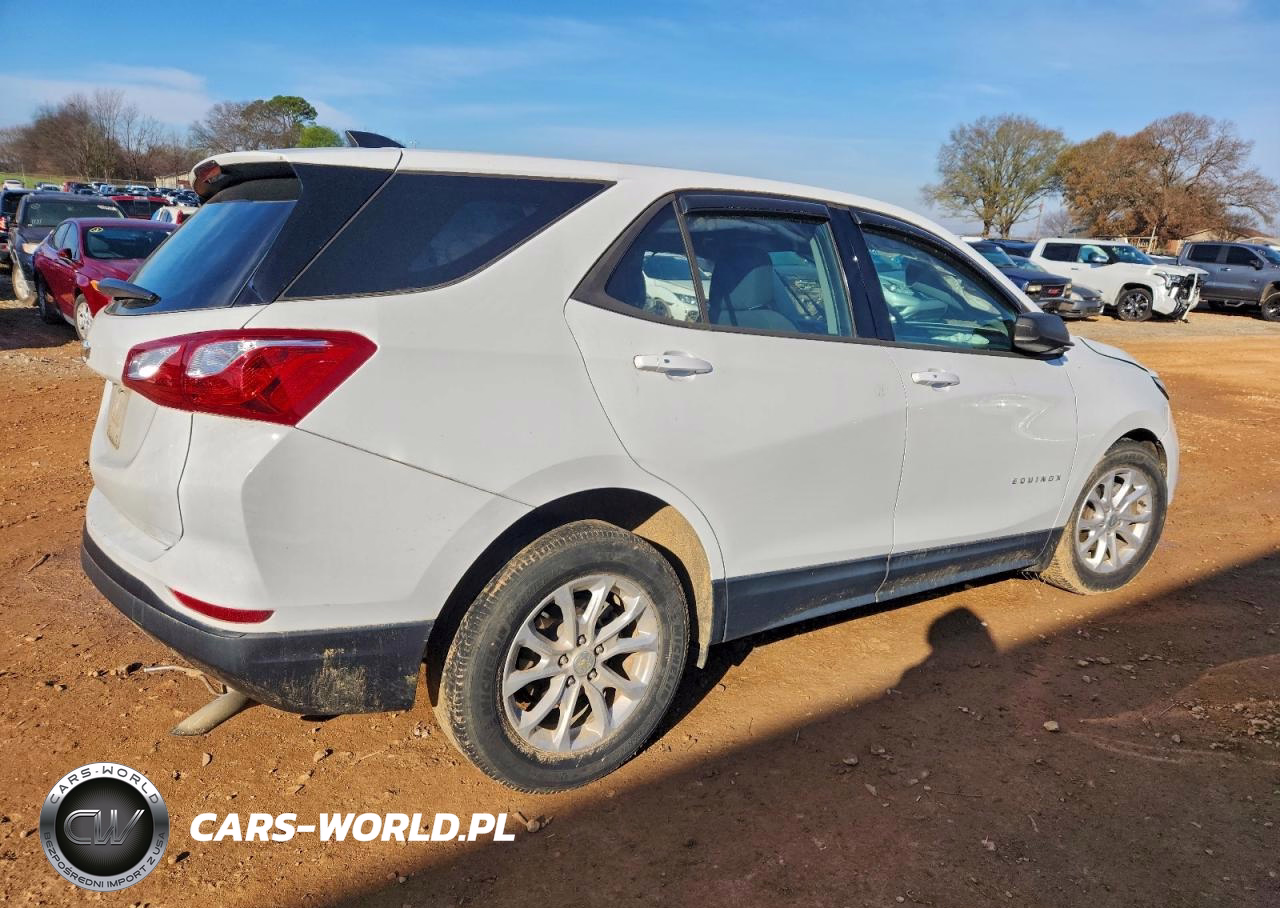 2019 Chevrolet Equinox Ls VIN:3GNAXHEV7KS576075 - 3
