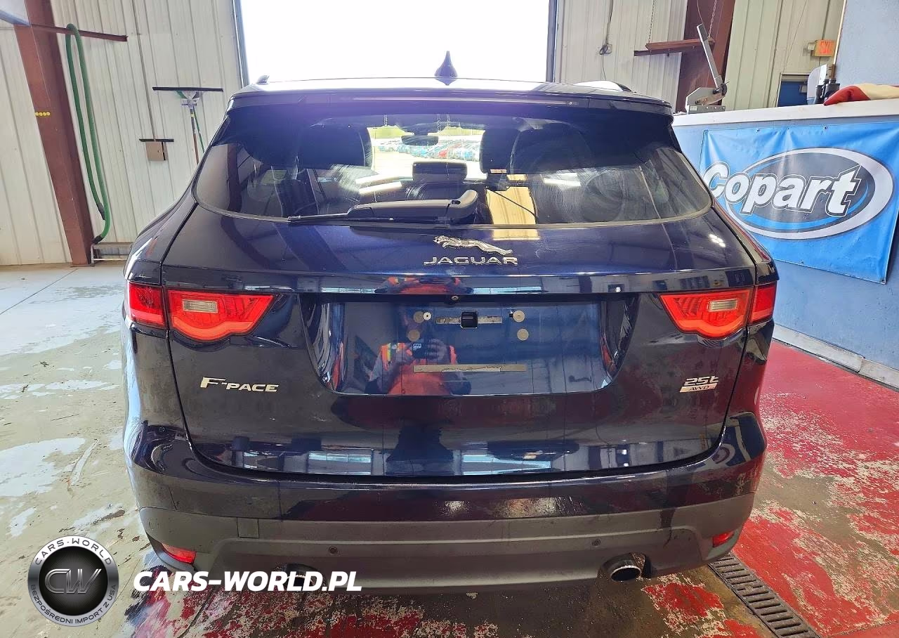 2019 Jaguar F-Pace Premium VIN:SADCJ2FX9KA359701 - 6